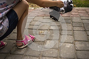 Girl almost caught pigeons in the park