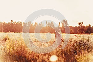 Girl with chamomile wreath in field