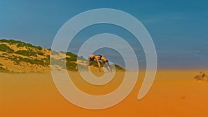 Girl Changes Yoga Poses among Dunes under Blue Sky