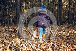 A girl child in autumn clothes walks through the autumn forest strewn with dry leaves. Walk through the woods. He holds a teddy