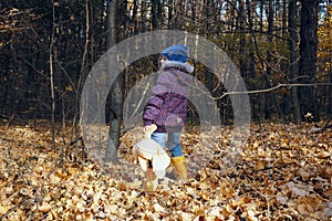 A girl child in autumn clothes walks through the autumn forest strewn with dry leaves. Walk through the woods. He holds a teddy