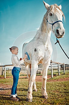 .Girl child, brush horse and outdoor with care, love and holiday at farm, countryside or zoo in summer. Young kid, pet