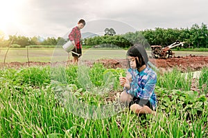 Girl child sitting in organic vegetables garden and blurred boy watering the plants on sky background in rural or countryside