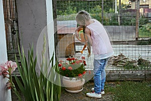 A girl child watering flowers from a yellow watering can, next to it is a valier for a dog. Care of plants and garden and