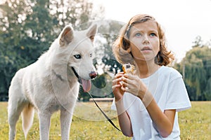 Girl child with a white dog Husky sitting on the lawn in the park, eating a croissant, dog looks at the croissant with an appetite