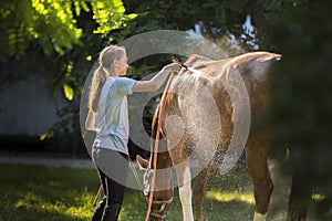 A girl cleans a horse. Horse care