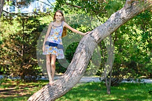 Girl climbed a tree in a city park