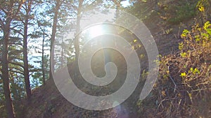 Girl climbs up the hill on a bright sunny day. Rear view, slow motion