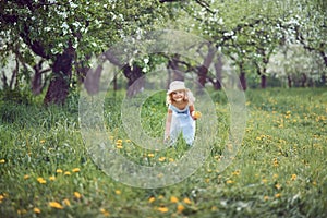 Girl collects dandelions bouquet for a wreath in meadow of orhard