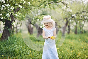 Girl collects dandelions bouquet for a wreath in meadow of orhard