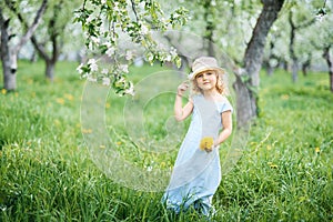 Girl collects dandelions bouquet for a wreath in meadow of orhard