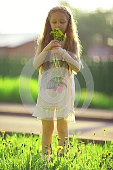 Girl collects flowers