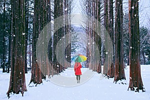 Girl with colourful umbrella in row tree, Nami island in South Korea. Winter in South Korea.