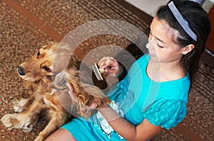 The girl is combing the dog