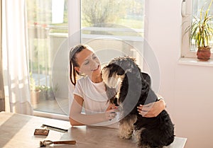 Girl combing dog at home