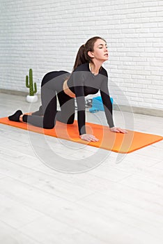 the girl conducts a home workout stretching to strengthen her back