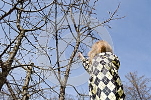 Girl cut fruit branch with handsaw in spring time