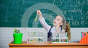 Girl cute school pupil play with test tubes and colorful liquids. School chemical experiment. School education. Future