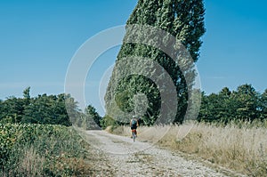 Girl cyclist rides on a field road near tall poplars