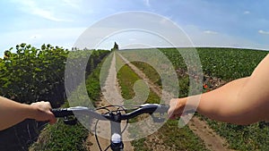 A girl cyclisted on a road through a green field