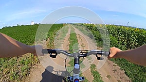A girl cyclisted on a road through a green wheat field