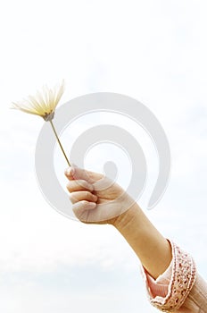 Girl with daisy against sky