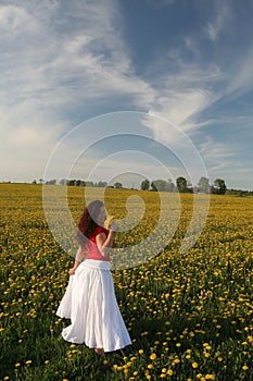 Girl in dandelion field