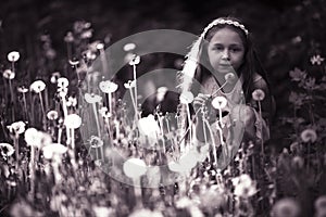 Girl in dandelion field