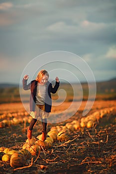 Girl in dark blue coat and orange skirt jumps on pumpkins on the field on sunset. Halloween. Beautiful landscape in