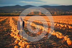 Girl in dark blue coat and orange skirt stands on pumpkins on the field on sunset. Halloween. Beautiful landscape in