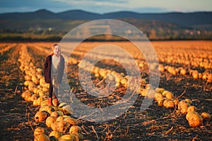 Girl in dark blue coat and orange skirt stands on pumpkins on the field on sunset. Halloween. Beautiful landscape in