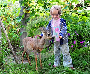 A girl with a deer in nature baby feeds a fawn and strokes she is dressed in blue clothes
