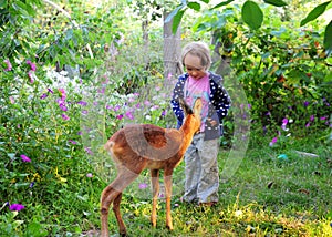 A girl with a deer in nature baby feeds a fawn and strokes she is dressed in blue clothes