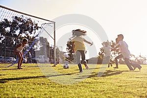 Girl defending goal at football game with family and friends