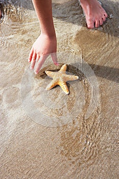 Girl Discovering Starfish On Beach