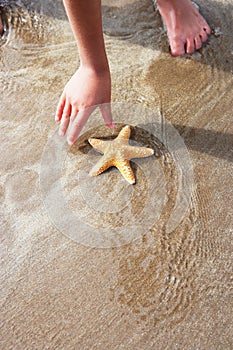 Girl Discovering Starfish On Beach photo