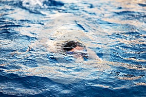 A girl dives underwater