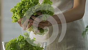 Girl dividing lettuce leaves and putting in bowl, making fresh organic salad