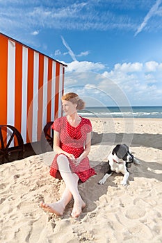 Il cane Spiaggia cabina il mare, Belgio 