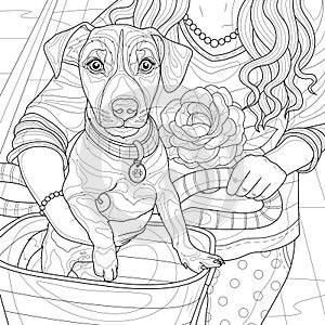 Girl with a dog in a bicycle basket.Jack Russell.Coloring book antistress for children and adults.