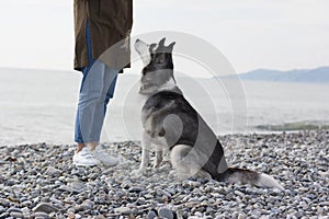 Girl with a dog on the background of the sea landscape. Pebble beach