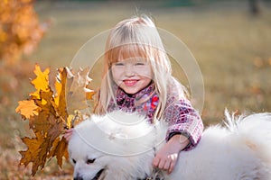 Girl, dog, fun, forest