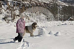 Girl and dog Malamut in the mountains.