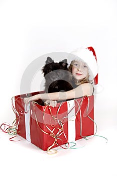 Girl and dog in present