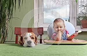 Girl with a dog waiting for dinner