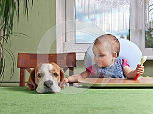 Girl with a dog waiting for dinner