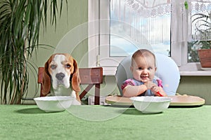 Girl with a dog waiting for dinner