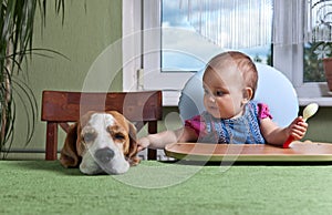 Girl with a dog waiting for dinner