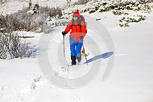 Girl with dog in winter mountains.