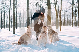 Girl with dogs in winter park